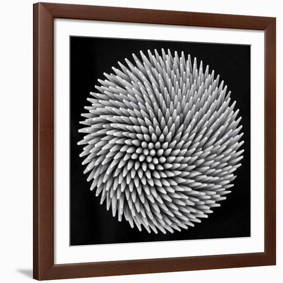 Hypnosis-Giorgio Toniolo-Framed Giclee Print