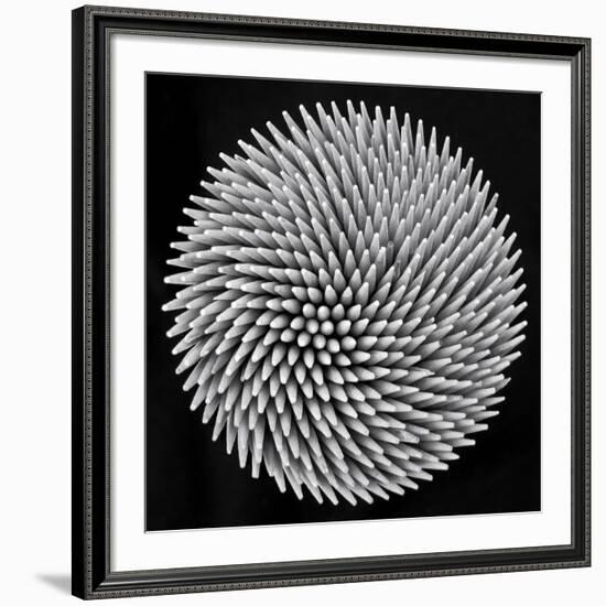 Hypnosis-Giorgio Toniolo-Framed Giclee Print