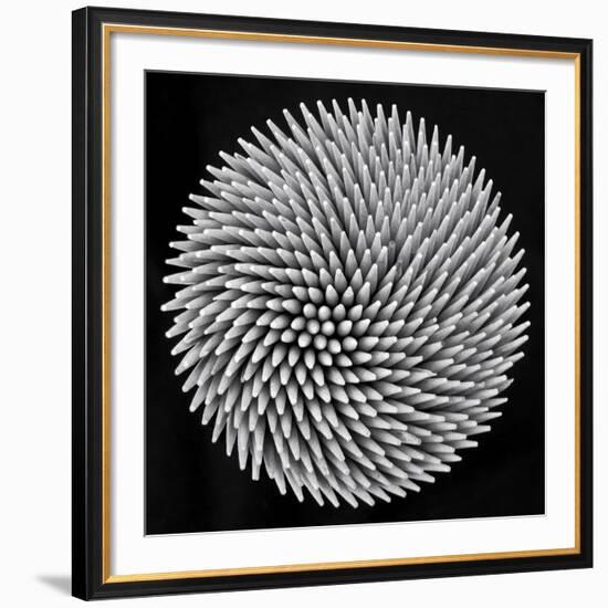 Hypnosis-Giorgio Toniolo-Framed Giclee Print