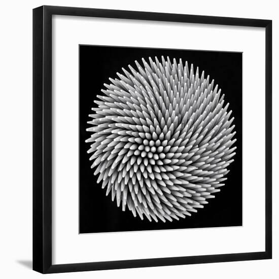 Hypnosis-Giorgio Toniolo-Framed Photographic Print