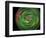 Hypnotic II-Heidi Westum-Framed Photographic Print