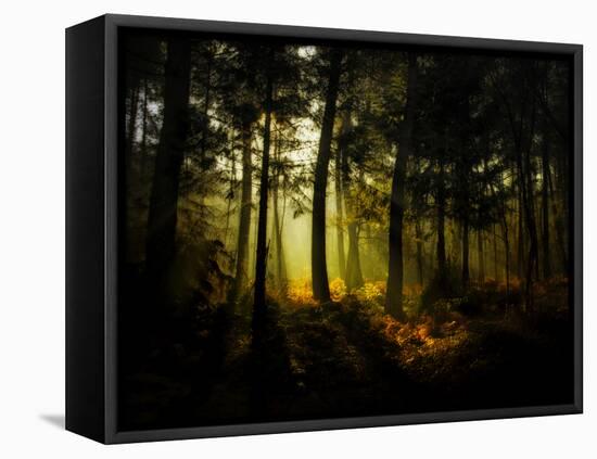 Hypnotic Morning-Philippe Manguin-Framed Premier Image Canvas