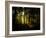 Hypnotic Morning-Philippe Manguin-Framed Photographic Print