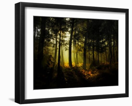 Hypnotic Morning-Philippe Manguin-Framed Photographic Print