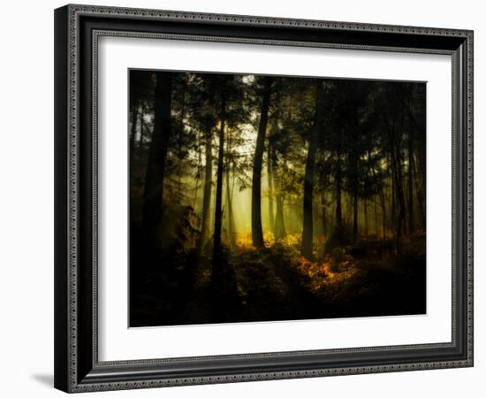 Hypnotic Morning-Philippe Manguin-Framed Photographic Print