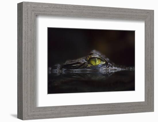 Hypnotic-Gaetano Cessati-Framed Photographic Print