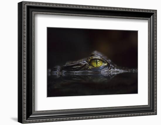 Hypnotic-Gaetano Cessati-Framed Photographic Print