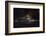 Hypnotic-Gaetano Cessati-Framed Photographic Print