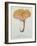 Hyprophyllum Aquifolii, Plate 38 from 'Iconographie Des Champignons De J. J. Paulet'-Fossier-Framed Giclee Print