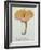 Hyprophyllum Aquifolii, Plate 38 from 'Iconographie Des Champignons De J. J. Paulet'-Fossier-Framed Giclee Print