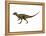 Hypsilophodon Is an Ornithopod Dinosaur from the Cretaceous Period-null-Framed Stretched Canvas