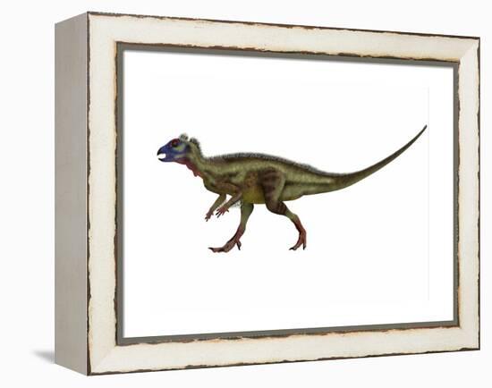 Hypsilophodon Is an Ornithopod Dinosaur from the Cretaceous Period-null-Framed Stretched Canvas