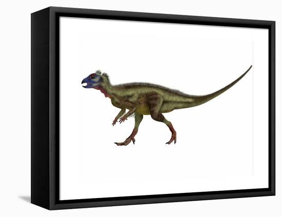 Hypsilophodon Is an Ornithopod Dinosaur from the Cretaceous Period-null-Framed Stretched Canvas