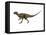 Hypsilophodon Is an Ornithopod Dinosaur from the Cretaceous Period-null-Framed Stretched Canvas