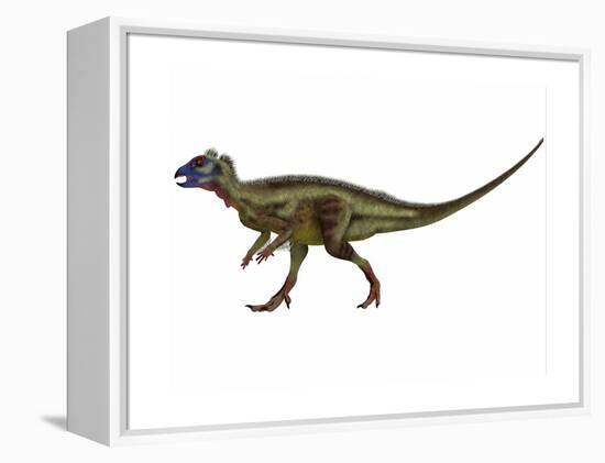 Hypsilophodon Is an Ornithopod Dinosaur from the Cretaceous Period-null-Framed Stretched Canvas