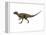 Hypsilophodon Is an Ornithopod Dinosaur from the Cretaceous Period-null-Framed Stretched Canvas