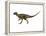 Hypsilophodon Is an Ornithopod Dinosaur from the Cretaceous Period-null-Framed Stretched Canvas