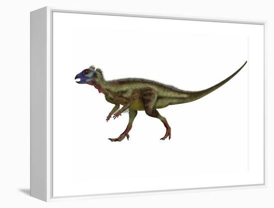 Hypsilophodon Is an Ornithopod Dinosaur from the Cretaceous Period-null-Framed Stretched Canvas