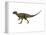 Hypsilophodon Is an Ornithopod Dinosaur from the Cretaceous Period-null-Framed Stretched Canvas