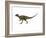 Hypsilophodon Is an Ornithopod Dinosaur from the Cretaceous Period-null-Framed Art Print