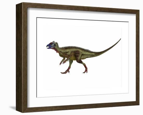 Hypsilophodon Is an Ornithopod Dinosaur from the Cretaceous Period-null-Framed Art Print