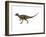 Hypsilophodon Is an Ornithopod Dinosaur from the Cretaceous Period-null-Framed Art Print