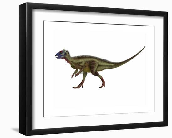 Hypsilophodon Is an Ornithopod Dinosaur from the Cretaceous Period-null-Framed Art Print