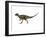 Hypsilophodon Is an Ornithopod Dinosaur from the Cretaceous Period-null-Framed Art Print