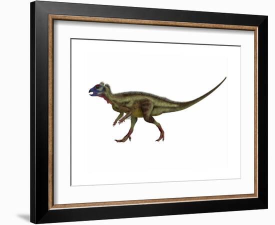 Hypsilophodon Is an Ornithopod Dinosaur from the Cretaceous Period-null-Framed Art Print