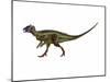 Hypsilophodon Is an Ornithopod Dinosaur from the Cretaceous Period-null-Mounted Art Print