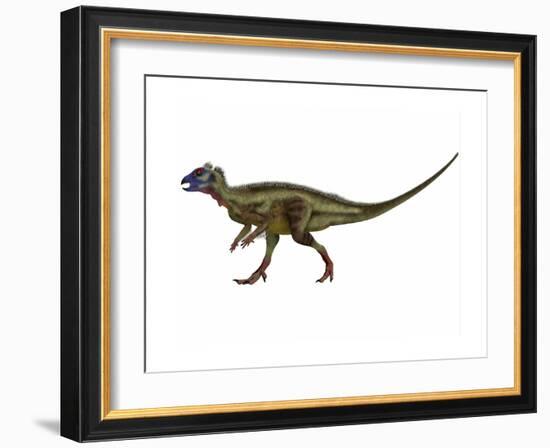 Hypsilophodon Is an Ornithopod Dinosaur from the Cretaceous Period-null-Framed Art Print