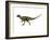 Hypsilophodon Is an Ornithopod Dinosaur from the Cretaceous Period-null-Framed Art Print