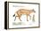 Hyracotherium (Eohippus), Extinct Dawn Horse, Mammals-Encyclopaedia Britannica-Framed Stretched Canvas