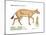 Hyracotherium (Eohippus), Extinct Dawn Horse, Mammals-Encyclopaedia Britannica-Mounted Art Print