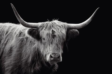 Giclee Print: Highland Courage by Bill Philip: 24x36in