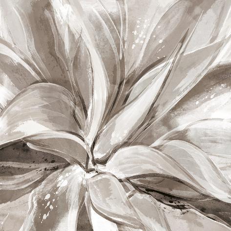 Giclee Print: Cereus Aloe - Fawn by Tania Bello: 16x16in