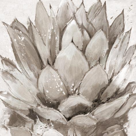 Giclee Print: Cereus Echeveria - Fawn by Tania Bello: 16x16in