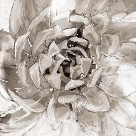 Giclee Print: Cereus Aeonium - Fawn by Tania Bello: 16x16in