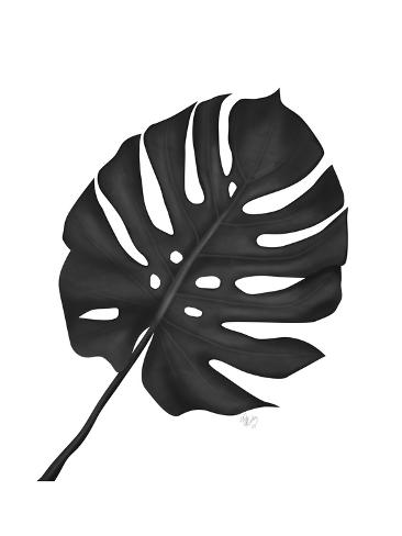 Art Print: Monstera Leaf 1, Black On White by Fab Funky: 12x9in