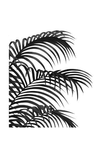 Art Print: Palm Leaf 1, Black On White by Fab Funky: 12x9in