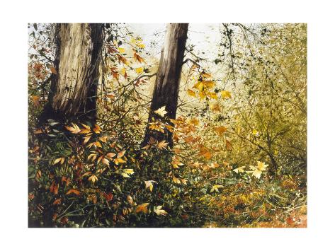 Premium Giclee Print: Fall Leaves by Miguel Dominguez: 24x18in