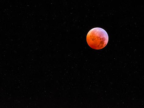 Photographic Print: Lunar Eclipse by Steven Maxx: 24x18in