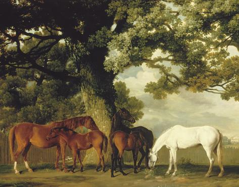 Giclee Print: Green Pastures (A Family Group) - Detail by George Stubbs: 32x40in