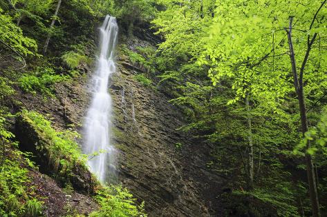 Photographic Print: Water Cascading Flowing Over Partnach Gorge. Garmisch-Partenkirchen. Upper Bavaria. Germany by Oscar Dominguez: 24x16in