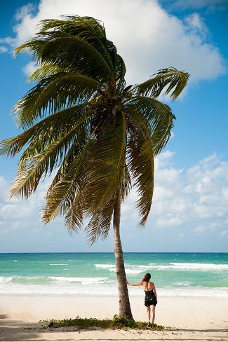 Photographic Print: Woman Observing Caribbean Sea on Sandy Beach in Varadero on Cuba Leaning on Palm Tree. by Samo Trebizan: 24x16in