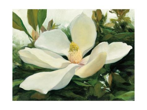 Art Print: Majestic Magnolia by Julia Purinton: 24x18in