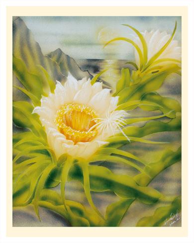 Giclee Print: Hawaii Night Blooming Cereus (Hylocereus Undatus) - Honolulu Queen of the Night by Ted Mundorff: 20x16in