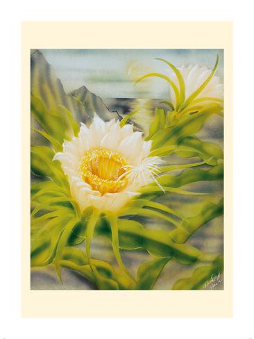 Premium Giclee Print: Hawaii Night Blooming Cereus (Hylocereus Undatus) - Honolulu Queen of the Night by Ted Mundorff: 16x12in