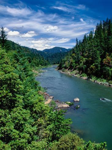 Photographic Print: Elevated view of river passing through a forest, Rogue River, Two Mile Rapids, Wild Rogue Wilder. : 32x24in