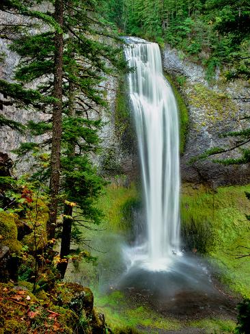 Photographic Print: Water falling into a creek, Salt Creek Falls, Salt Creek, Willamette National Forest, Lane Count. : 32x24in